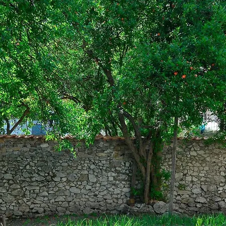 Bojo Mostar